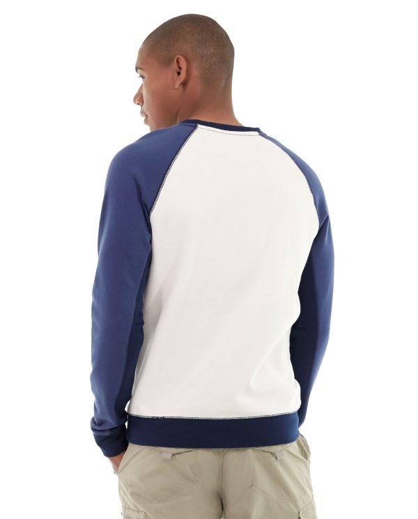 Hollister Backyard Sweatshirt – Bild 3